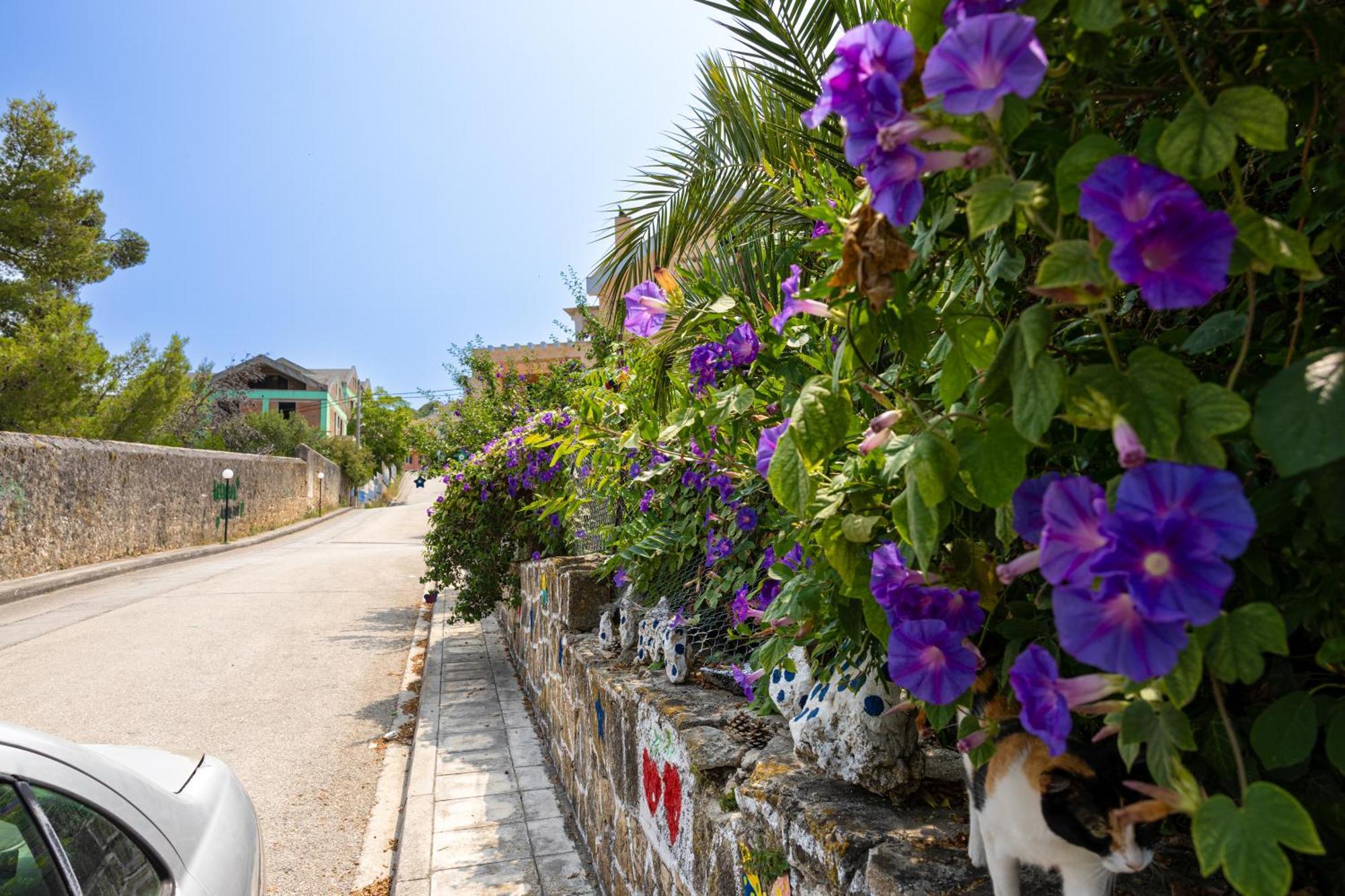 Domus City Apartment Argostoli  Exteriér fotografie